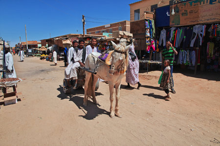 Kerma, Sudan - 20 Feb 2017. The dinkey on the street in Kerma city in Sahara desertのeditorial素材
