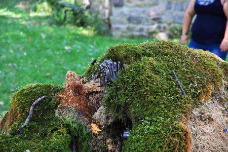 Bachkovo / Bulgaria - 12 Jul 2015: Bachkovo is ancient monastery in Bulgariaのeditorial素材