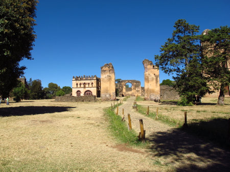 Gondor / Ethiopia - 02 Jan 2012: The castle in Gondor city, Ethiopiaのeditorial素材