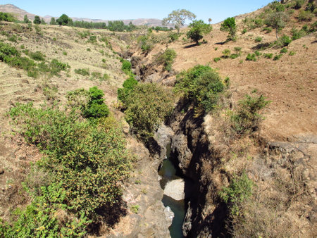 Bahr Dar / Ethiopia - 01 Jan 2012: Tis Abbay - Waterfalls of the blue Nile in Ethiopiaのeditorial素材