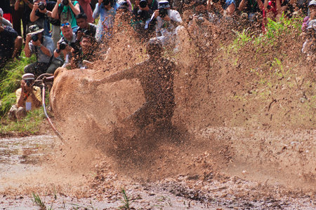 Padang, Indonesia - 30 Jul 2016. Festival Pacu Jawi (The bull racing) in the village close Padang,...