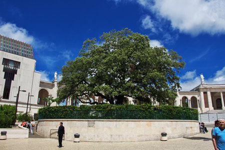 Fatima / Portugal - 14 May 2015: The Sant Tree in Fatima city, Portugalのeditorial素材