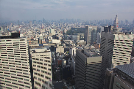Tokyo / Japan - 03 Nov 2013: The view on Tokyo city, Japanのeditorial素材