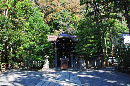Kamakura / Japan - 06 Nov 2013: Tsurugaoka Hachimangu Shrine, Kamakura, Japanのeditorial素材