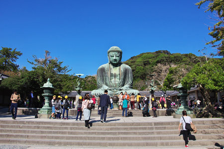 Kamakura / Japan - 06 Nov 2013: Kotoku-in temple, Great Buddha of Kamakura, Japanのeditorial素材