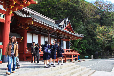 Kamakura / Japan - 06 Nov 2013: Tsurugaoka Hachimangu Shrine, Kamakura, Japanのeditorial素材
