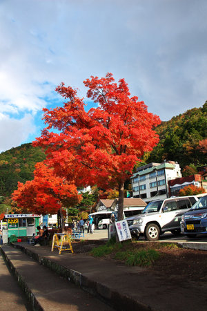 Fuji / Japan - 04 Nov 2013: Red maples Momiji in the national park Fuji at autumn, Japanのeditorial素材