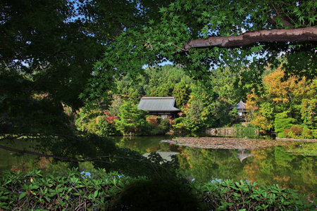 The park in Ryoanji Temple in Kyoto, Japanのeditorial素材