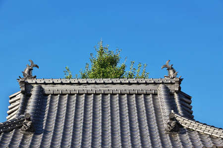 Itsukushima shrine, Miyajima island in Japanのeditorial素材