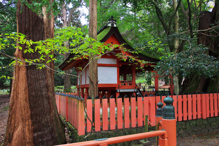 Nara / Japan - 09 Nov 2013: Tamukeyama Hachimangu Shrine, Nara, Japanのeditorial素材
