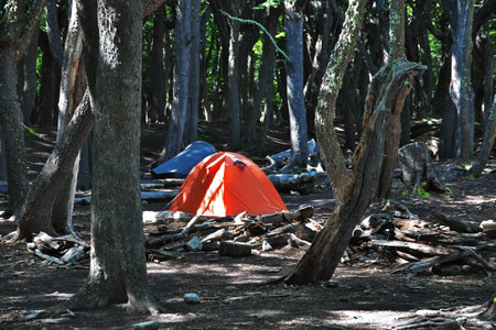 Trekking to Fitz Roy, El Chalten, Patagonia, Argentinaのeditorial素材