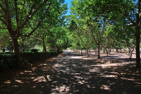The park close to Santuario Santa Teresa de los Andes, the church in Chileのeditorial素材