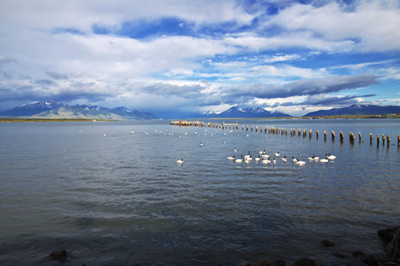 The old pier in Puerto Natales, Chileのeditorial素材