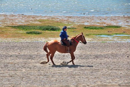 El Calafate, Patagonia, Argentina - 13 Dec 2019: Rider, Ranger in Laguna Nimez Reserva in El Calafate, Patagonia, Argentinaのeditorial素材