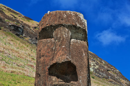 Rapa Nui. The statue Moai in Rano Raraku on Easter Island, Chileのeditorial素材