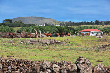 Rapa Nui. The village on Easter Island, Chileの写真素材