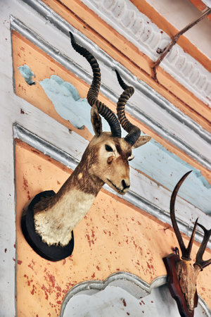 Khairpur, Pakistan - 24 Mar 2021: Faiz Mahal palace in Khairpur, Sindh, Pakistanのeditorial素材