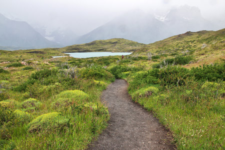 Torres del Paine National Park, Patagonia, Chileの写真素材
