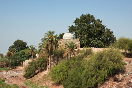 Uch Sharif, Ruins of centuries old Mausoleums near Bahawalpur, Pakistanのeditorial素材