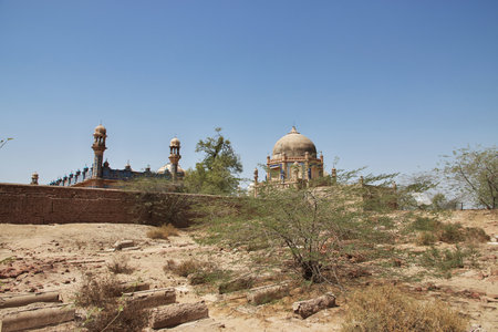 The Abbasi Royal Graveyard close Derewar fort in Punjab province, Pakistanのeditorial素材