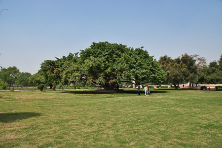 Hiran Minar complex in Sheikhupura close Lahore, Pakistanのeditorial素材