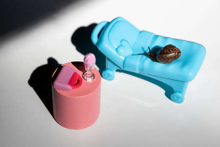 A snail in the sun on a chaise longue.A blue chaise longue and a pink cocktail table.Summer holidays on the beach.の写真素材