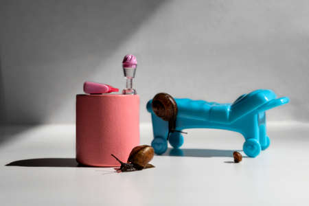 The family is in the medical office.Three snails on vacation.Snail house.The office of a toy psychologist.の写真素材