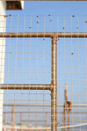 A cluster of ladybugs on a metal grid.Ladybugs have invaded the south of Russia.Metal mesh and red...