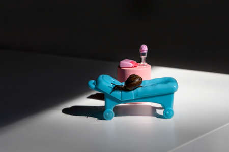 Summer holidays on the beach.Examination in the medical office.A snail with a brown shell and antennaeの写真素材