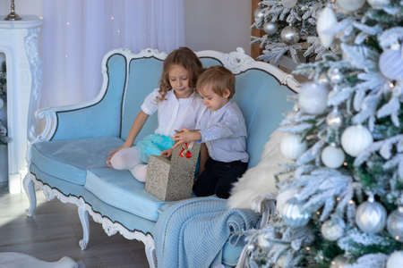 Brother and sister hug and look at the cameraの写真素材