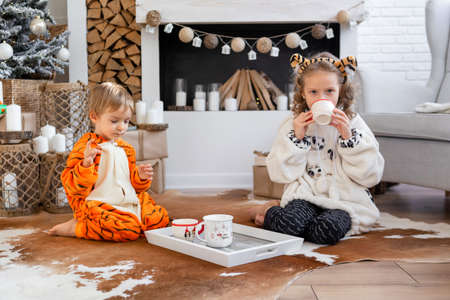 Children in kigurumi pajamas sit on the floor and drink cocoa and cookiesの写真素材
