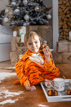 A boy in kigurumi pajamas sit on the floor and drink cocoa and cookiesの写真素材