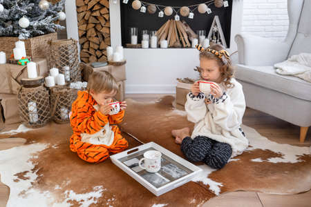 Children in kigurumi pajamas sit on the floor and drink cocoa and cookiesの写真素材