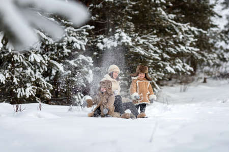 Mom and two kids in winter fur coats and hats are sledding through a forestの写真素材
