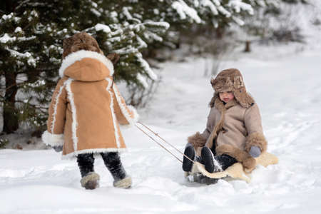 A boy in a winter sheepskin coat and a hat is taking his brother on a sledの写真素材