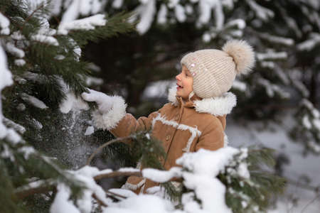 A girl in a winter hat and sheepskin coat is playing in a snowy forest.A girl shakes snow from pine branches.Russian snowy winter in a pine forest.A child in the middle of snow branchesの写真素材
