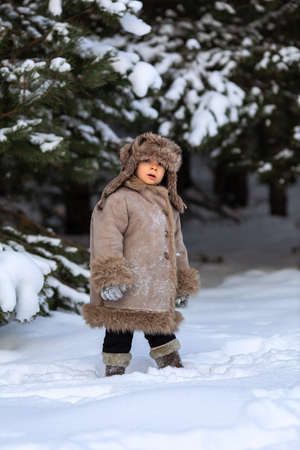 A cute boy in a fur coat and a hat with earflaps walks in winterの写真素材