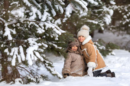 Brother and sister are sitting in the snow under a pine tree and laughing.の写真素材