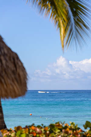 A place on the beach overlooking the Caribbean Sea in the Dominican Republicの写真素材