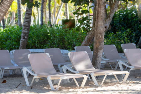 There are sun loungers on the sandy beach of the hotel.Nice weatherの写真素材