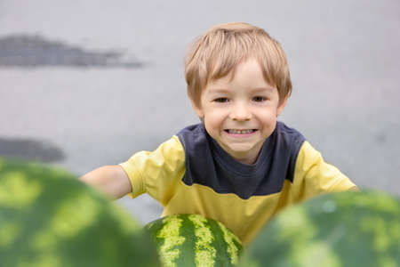 The child smiles, looking out from behind the green watermelonsの写真素材