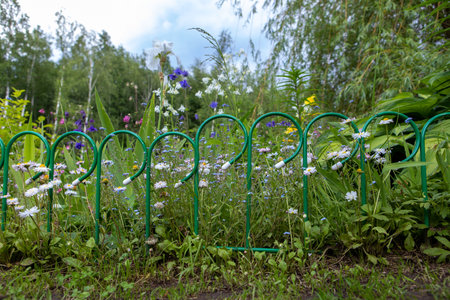 Decorative fence for a flower bed.The flower bed is fenced with a metal fence.Sectional green fence for beds.A path, a fence and large flower leaves.Different flowers on a garden bed.の写真素材