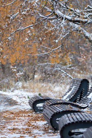 The first snow in the autumn park.A cloudy day in November.
