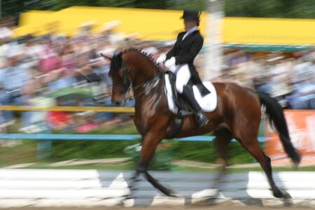 equestrian sportの写真素材