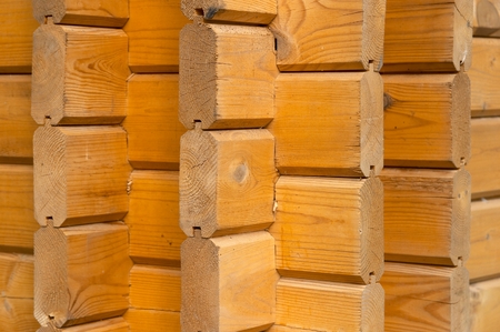 Pine boardの写真素材