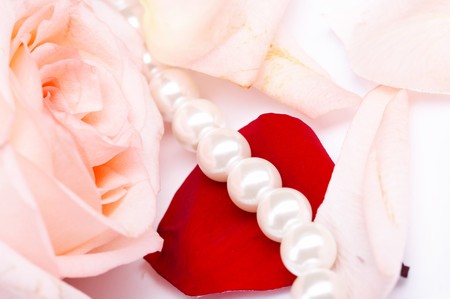 rose pearの写真素材