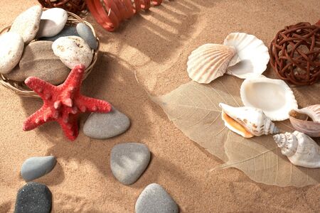 Sea still-life