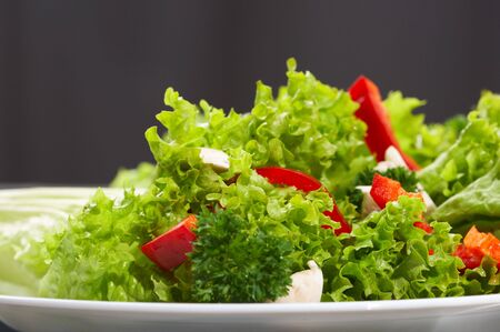 saladの写真素材