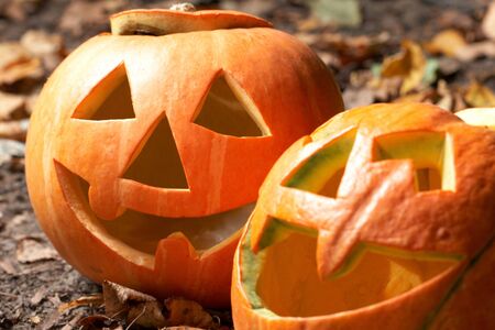 Creepy carved pumpkin face, with a smile, in parkの写真素材