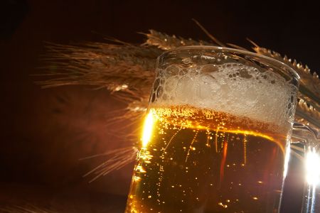 Glass of beer with grainの写真素材